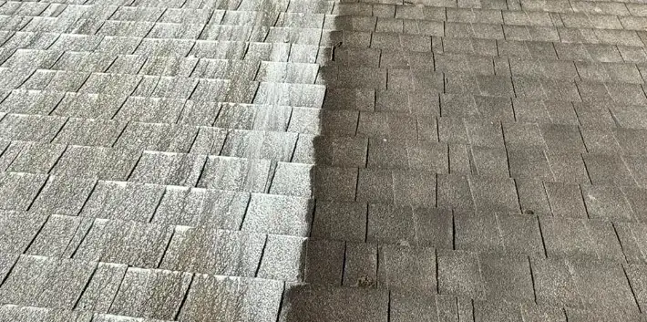 Roof Soft Washing