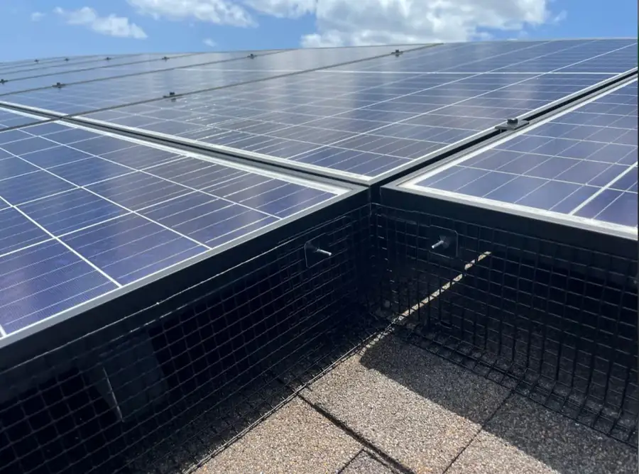Steel critter guard mesh installed around the edge of a rooftop solar array